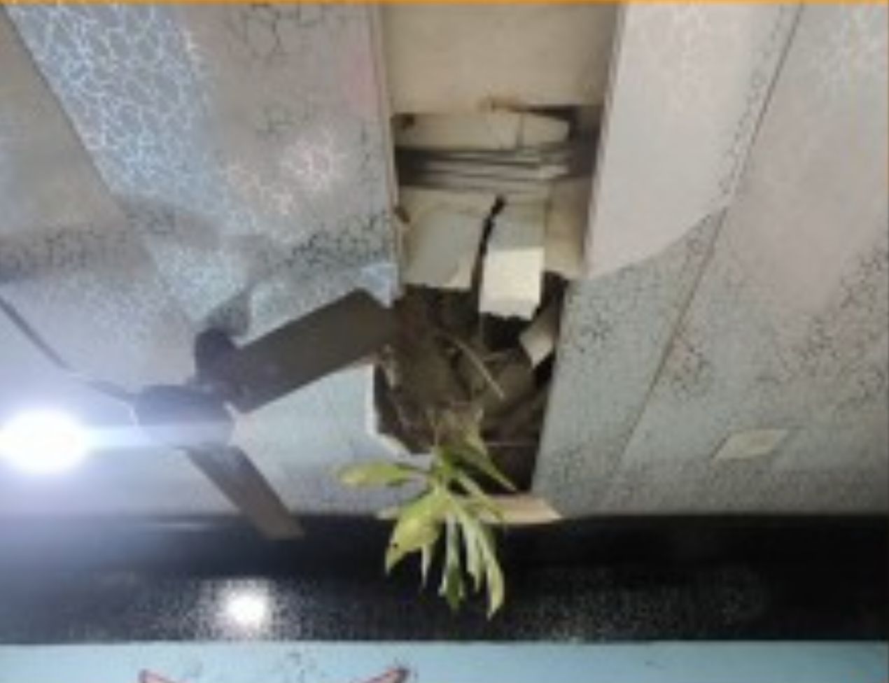 Ulhasnagar News: At night, a tree fell on the house.