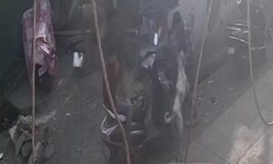 Stray Dog Attack in Ulhasnagar Camp 5 Leaves&hellip;