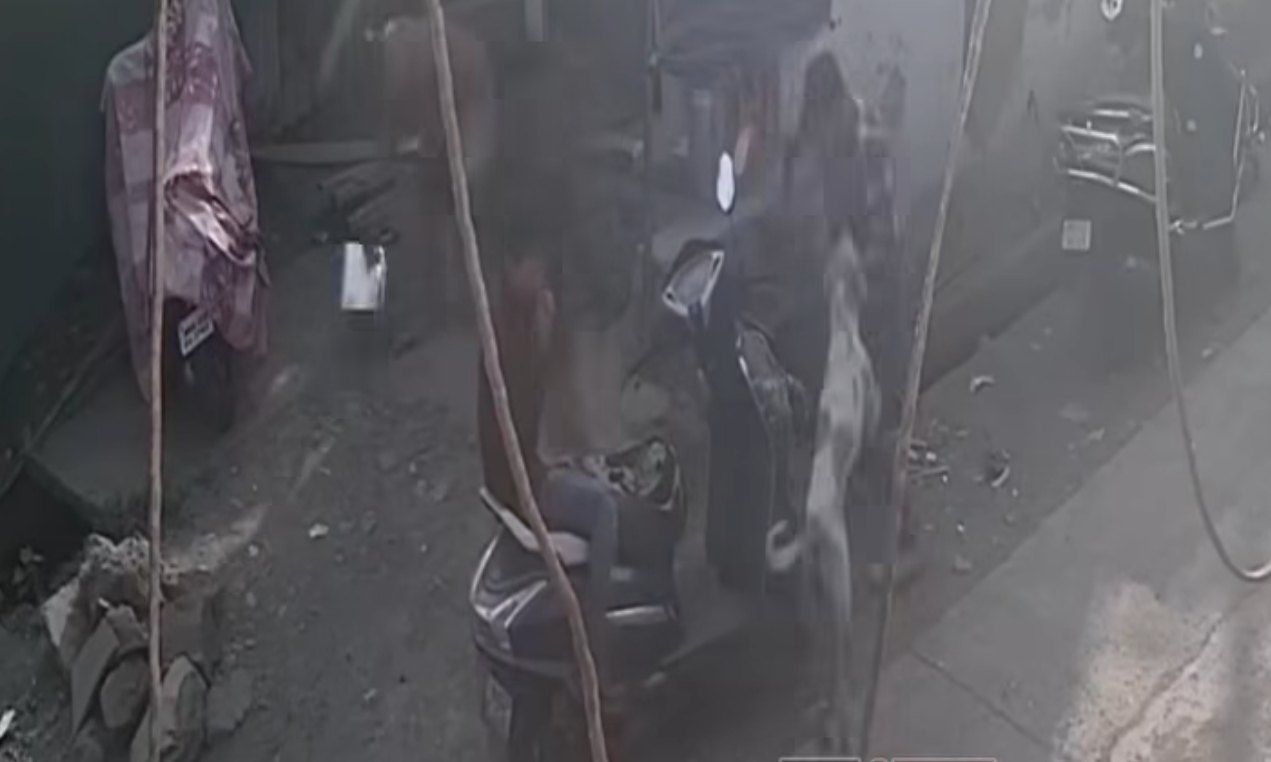 Stray Dog Attack in Ulhasnagar&hellip;